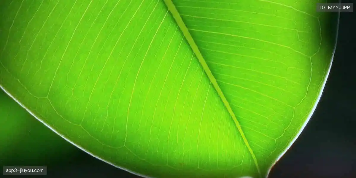 穿上队魂，书写历史！👕⚽️